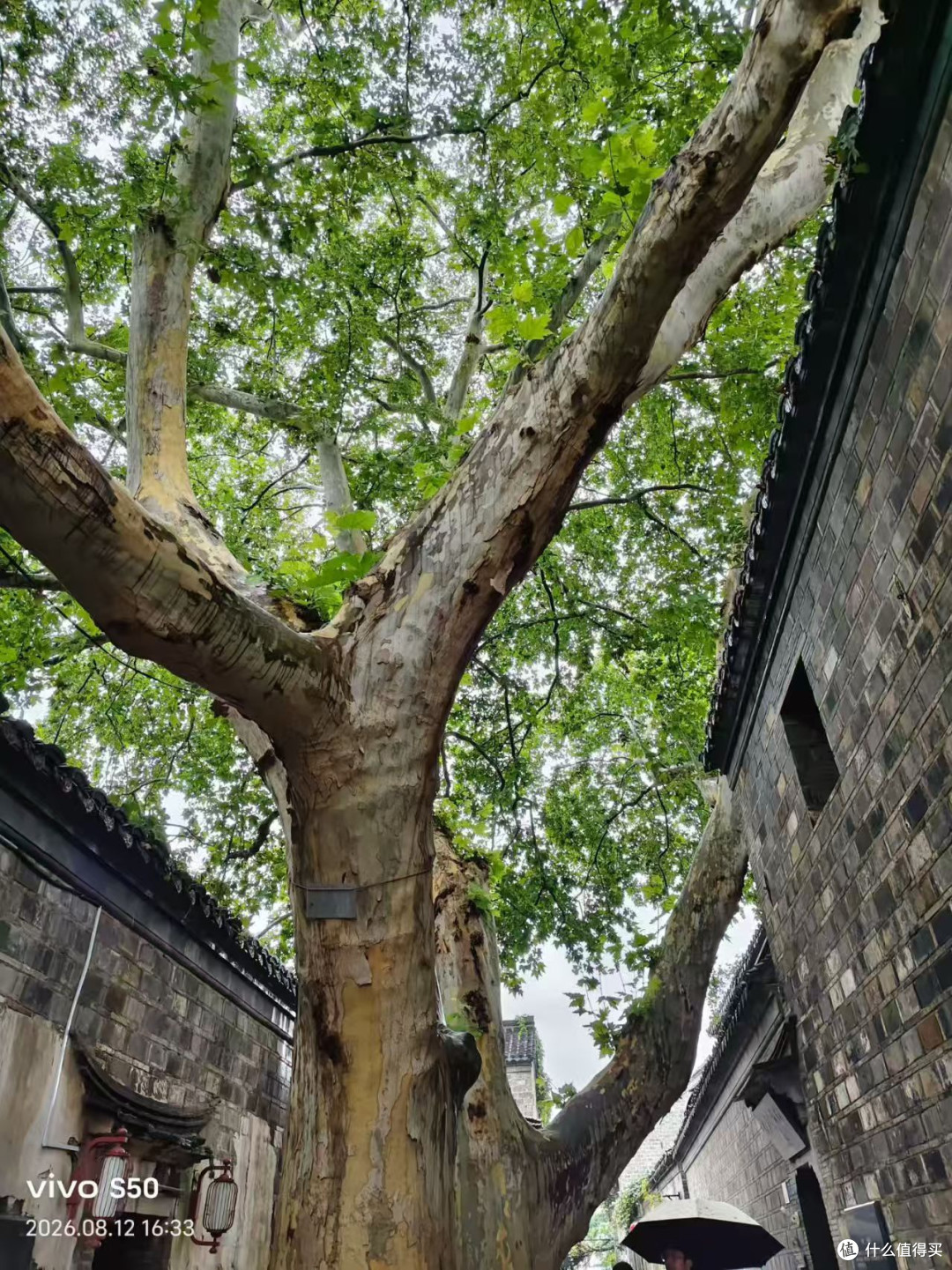 儿童游乐园