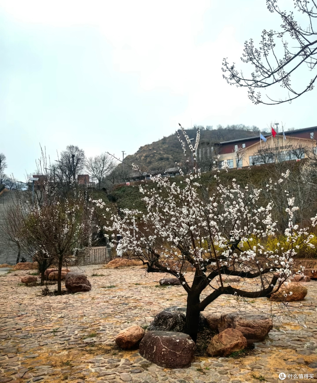 伏羲山大峡谷和云上牧场一日游