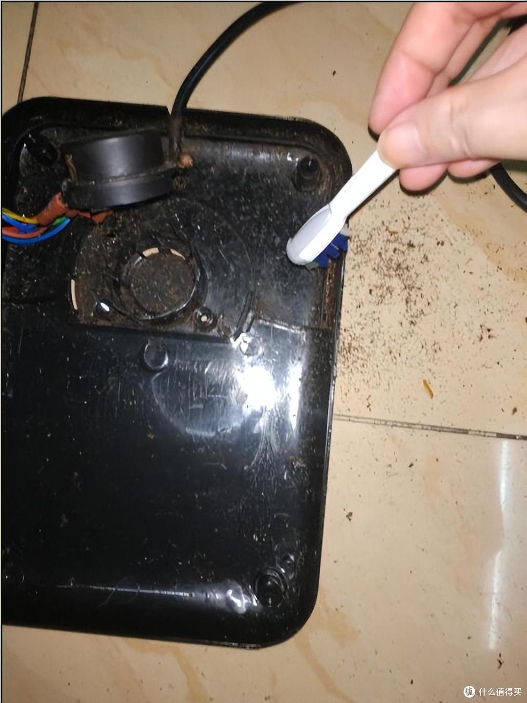 电水壶一插就短路?试试清理蟑螂加40目纱网