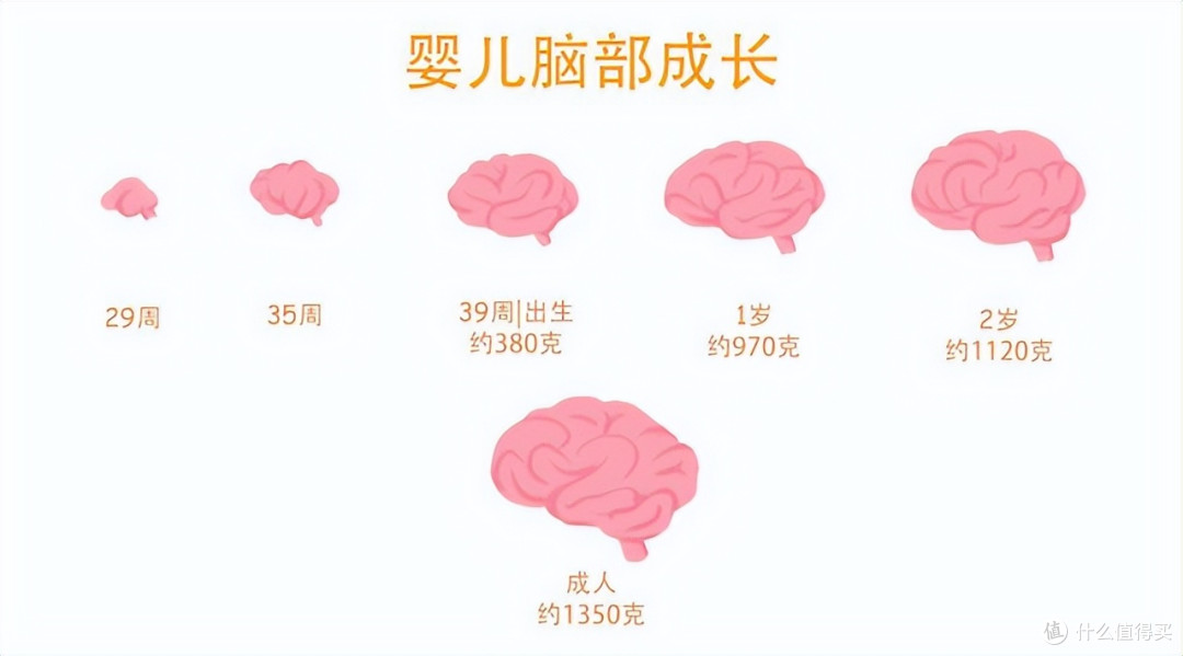 娃越"坏"越聪明?宝宝5个"讨厌"的行为,其实是在变聪明