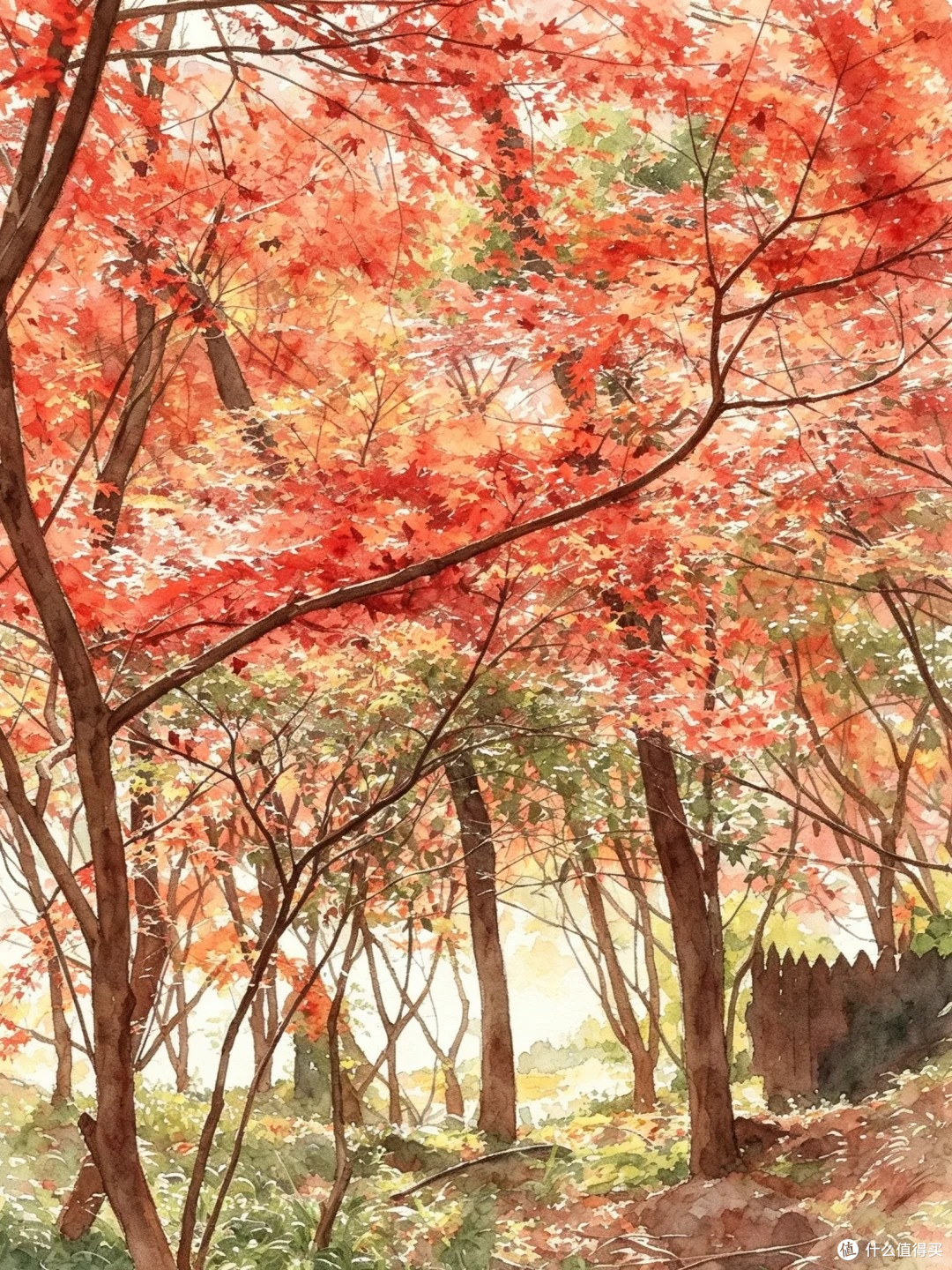 夏去秋来好出游,南京栖霞山赏秋