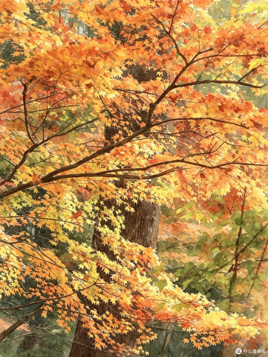 夏去秋来好出游,南京栖霞山赏秋