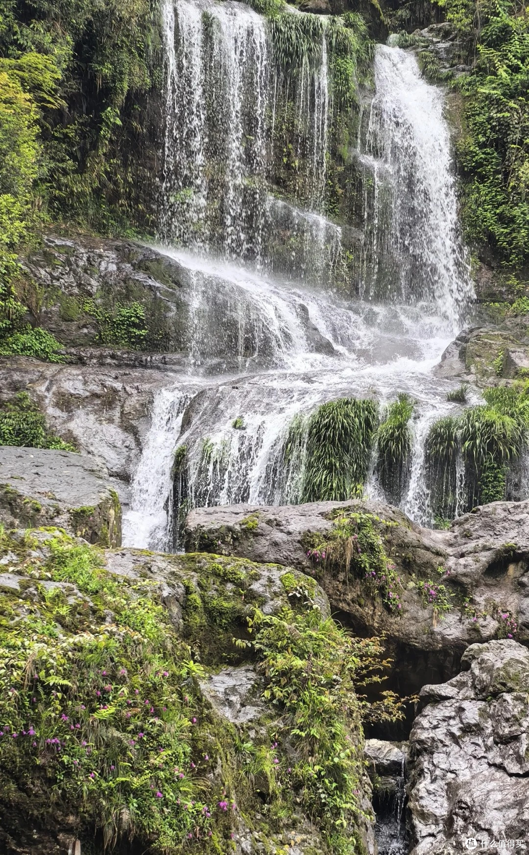 夏去秋来好出游|雅安龙苍沟森林公园,躲进原始森林吸氧避暑