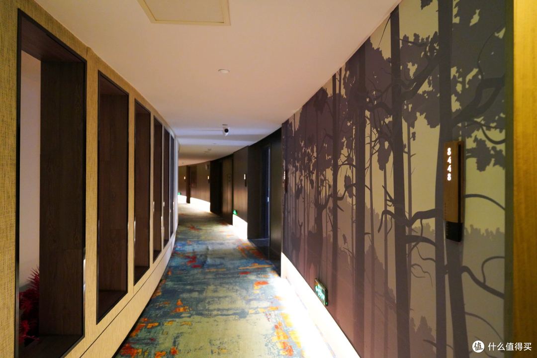城市中央的森系居所：郑州正弘城美豪丽致酒店 入住体验