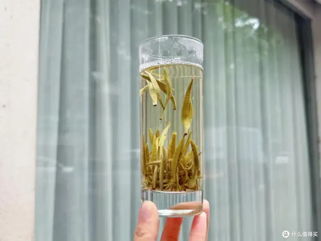 5款高性价比茉莉花茶推荐,茶友必试!