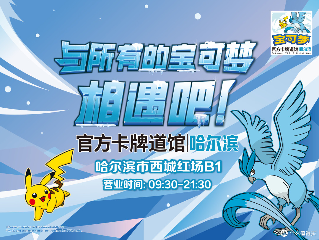 哈尔滨道馆8月22日正式开业,东北训练家终于等到主场