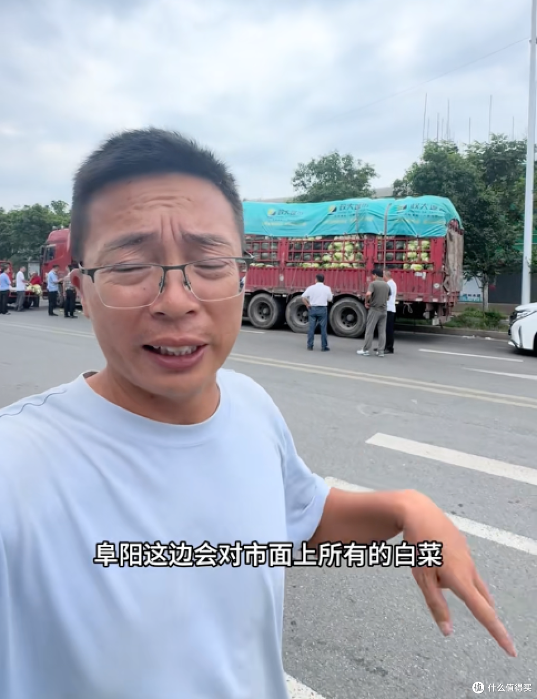 一车车"问题白菜"被现场封存:甲醛白菜?记住 5 招别再买错