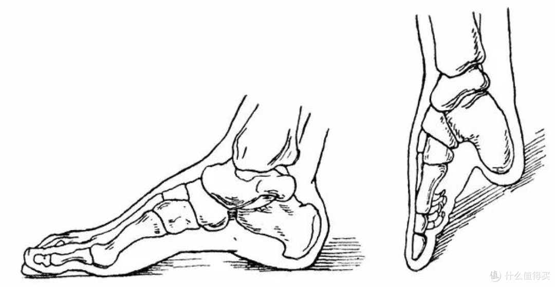 3寸约等于10cm