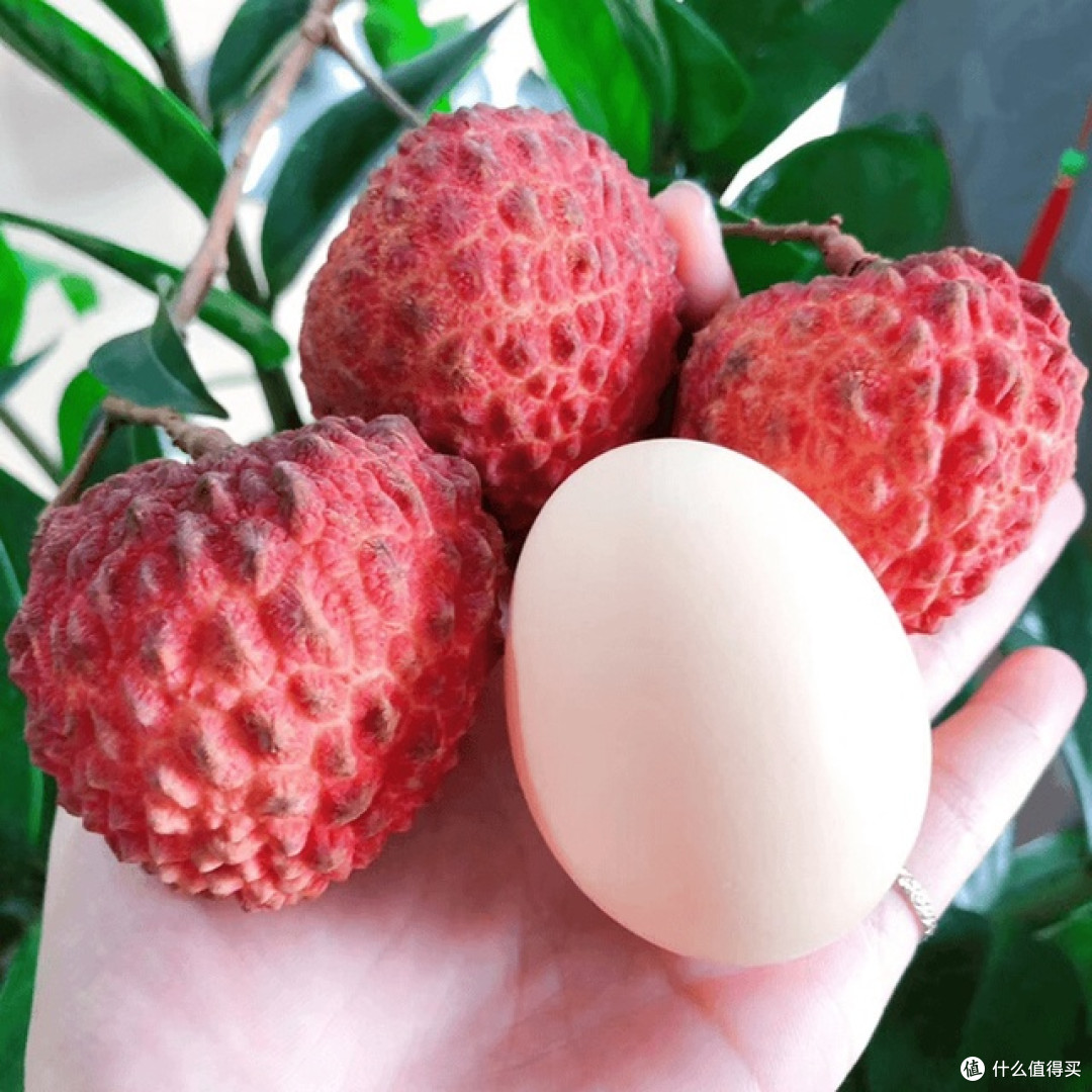 夏日午后荔枝的清甜