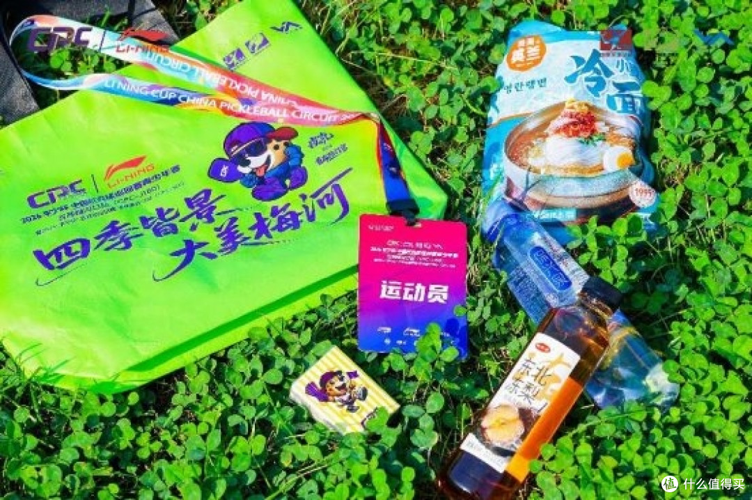 2026“李宁杯”匹克球巡回赛—吉林梅河口站隆重开赛