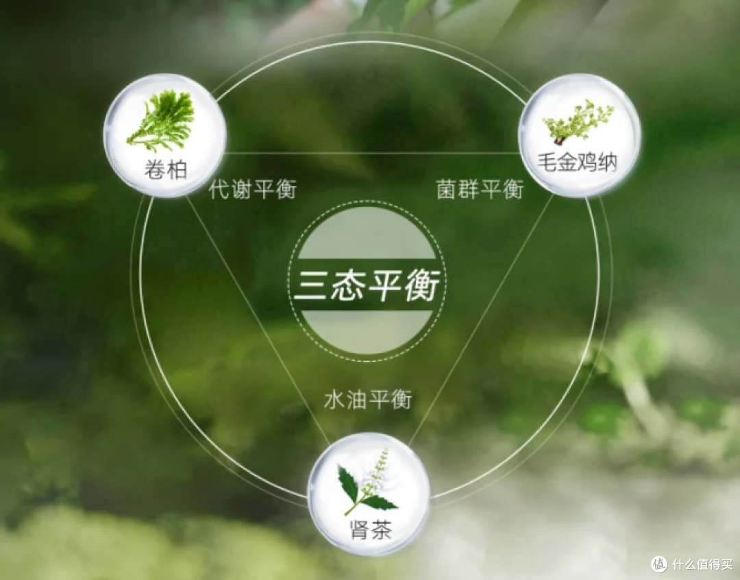 舒霖三态平衡因子斩获金植奖:傣医药智慧赋能国产头皮植萃原料