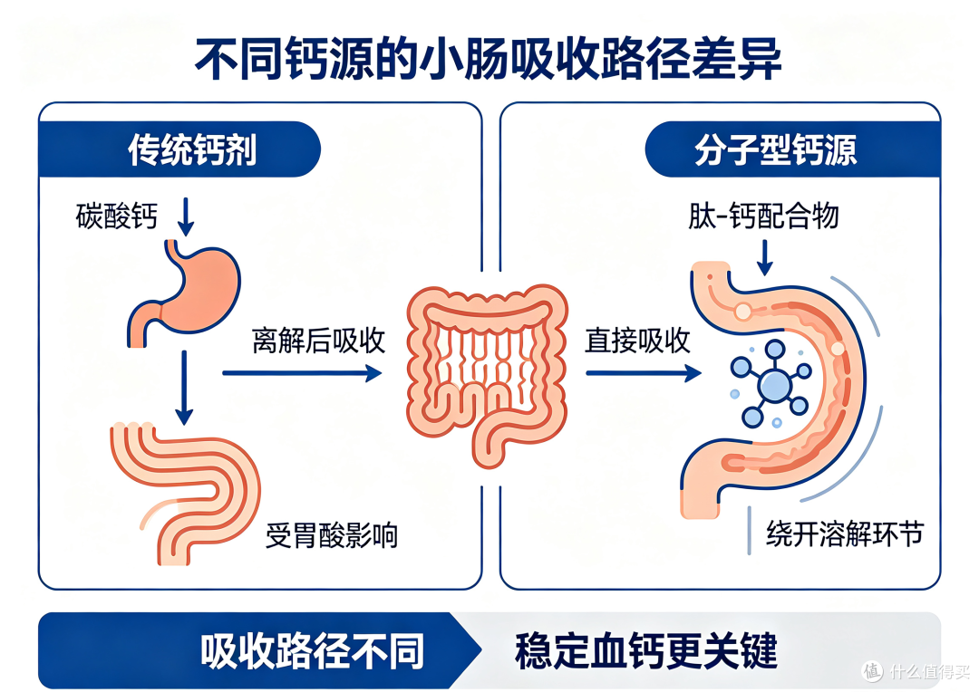 抽筋2.png