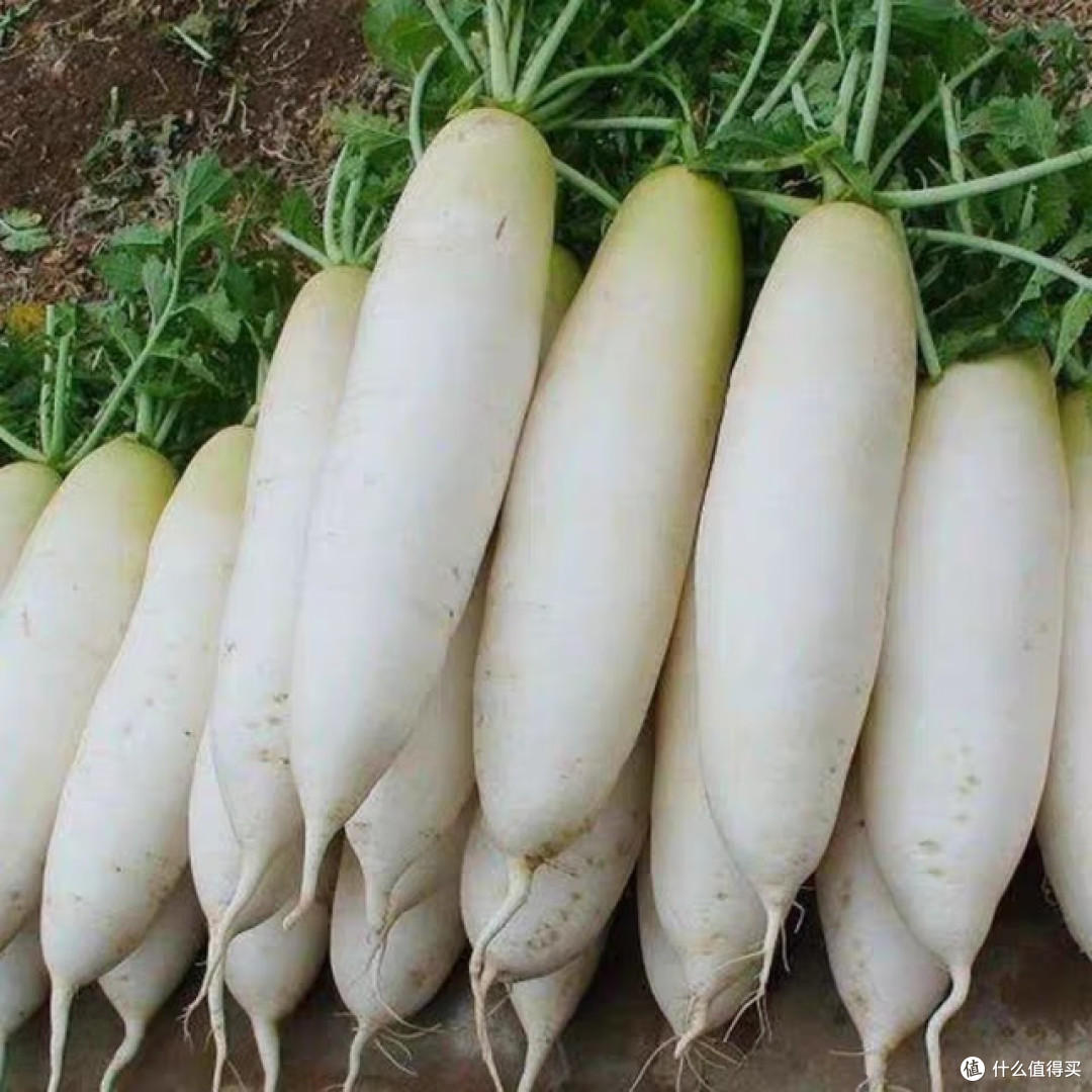 白萝卜：厨房里的全能手