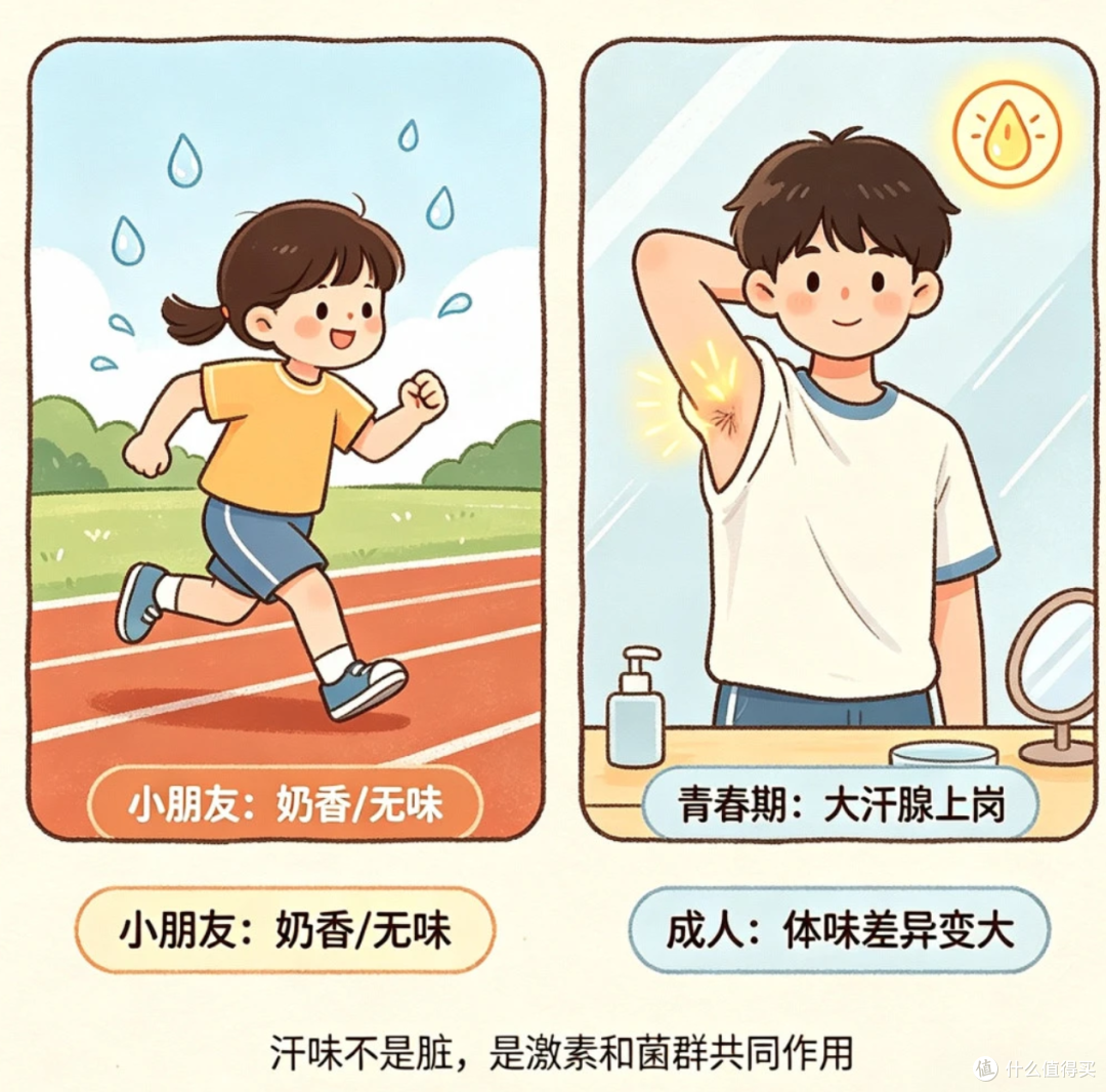 你的汗是“白开水”还是“老汤汁”?凭啥有人出汗没味,有人滂臭?