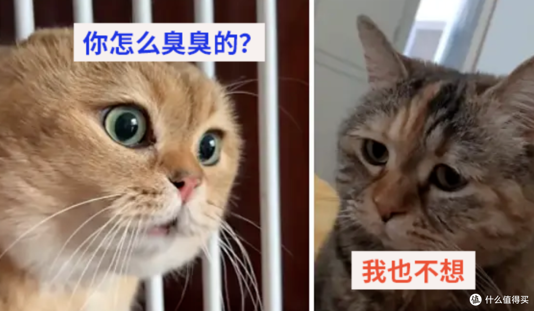 你的汗是“白开水”还是“老汤汁”?凭啥有人出汗没味,有人滂臭?