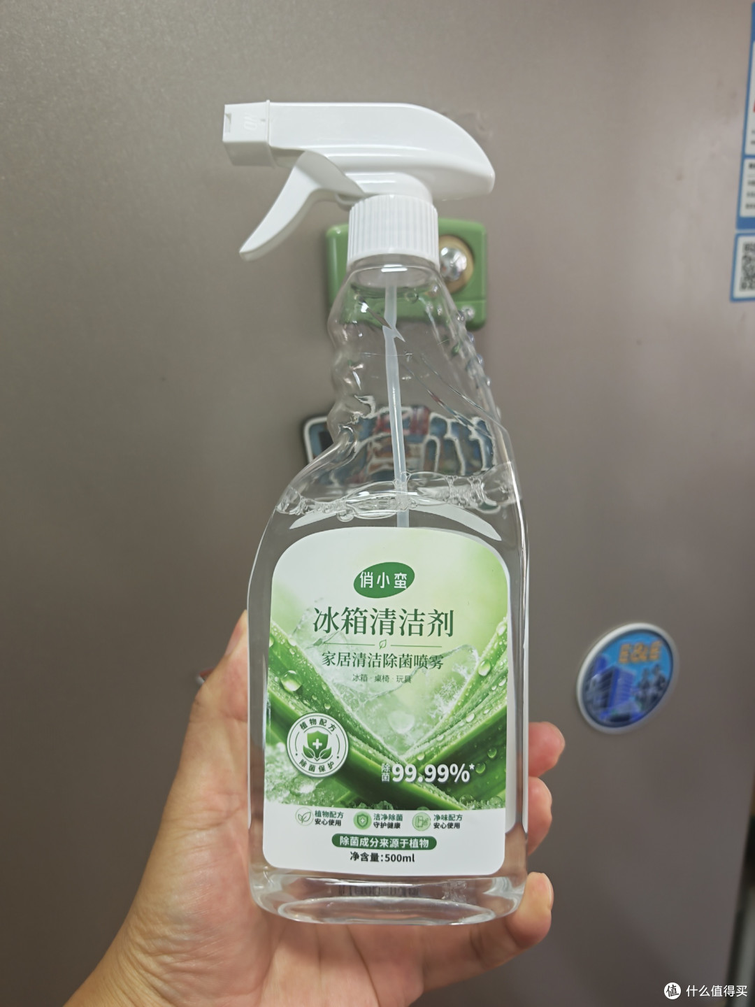 真实自用|对比几款主流冰箱除味剂,聊聊我实际用下来的体验