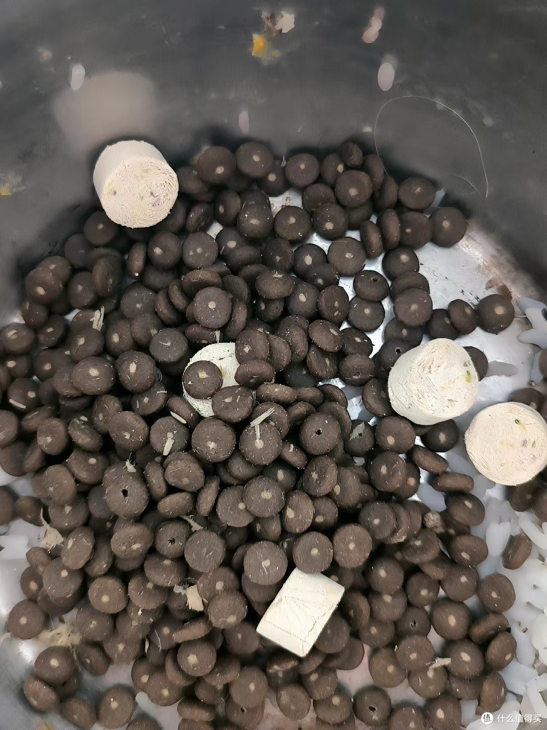 蓝氏真鲜乳鸽冻干粮适合挑食狗狗