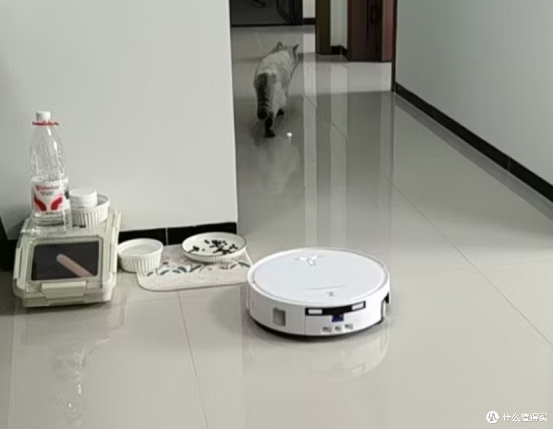科沃斯T80S实测,终于不用跟满地毛发死磕