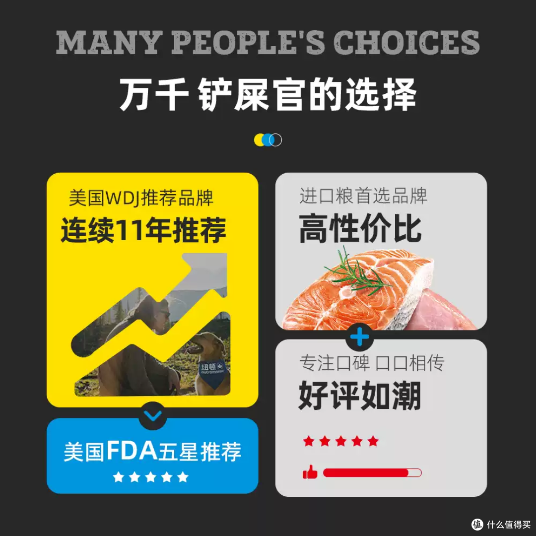 纽顿T24/T34猫粮，高蛋白低脂养出好体态！