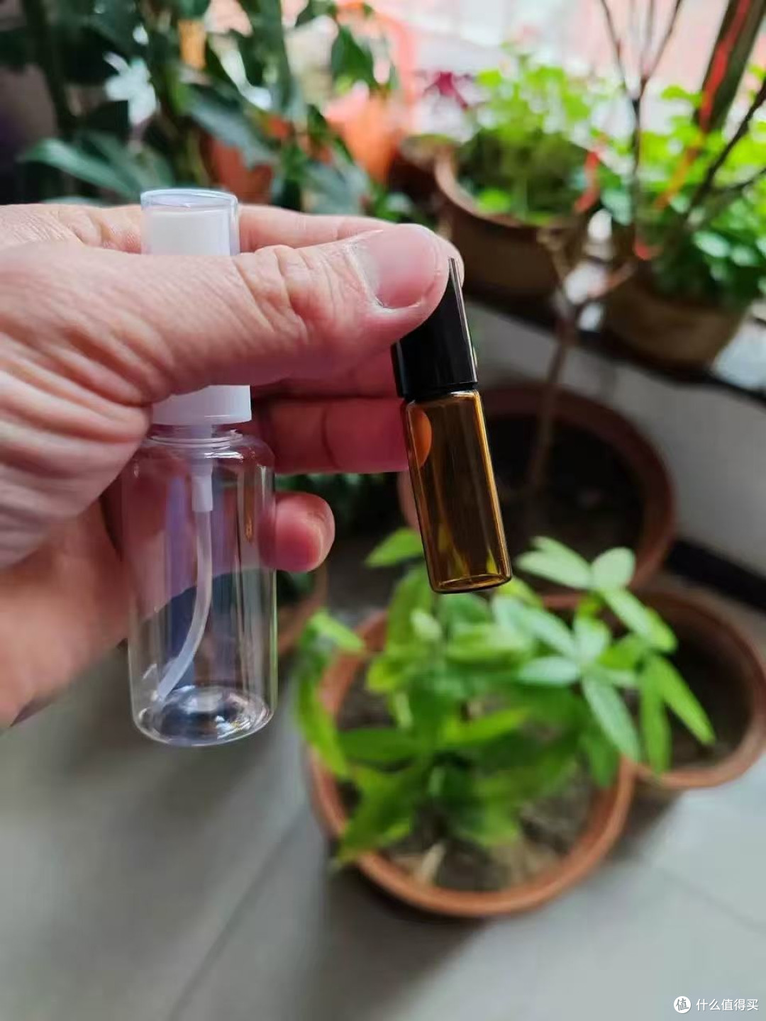 驱蚊止痒神器!这瓶薄荷油让蚊子绕道走