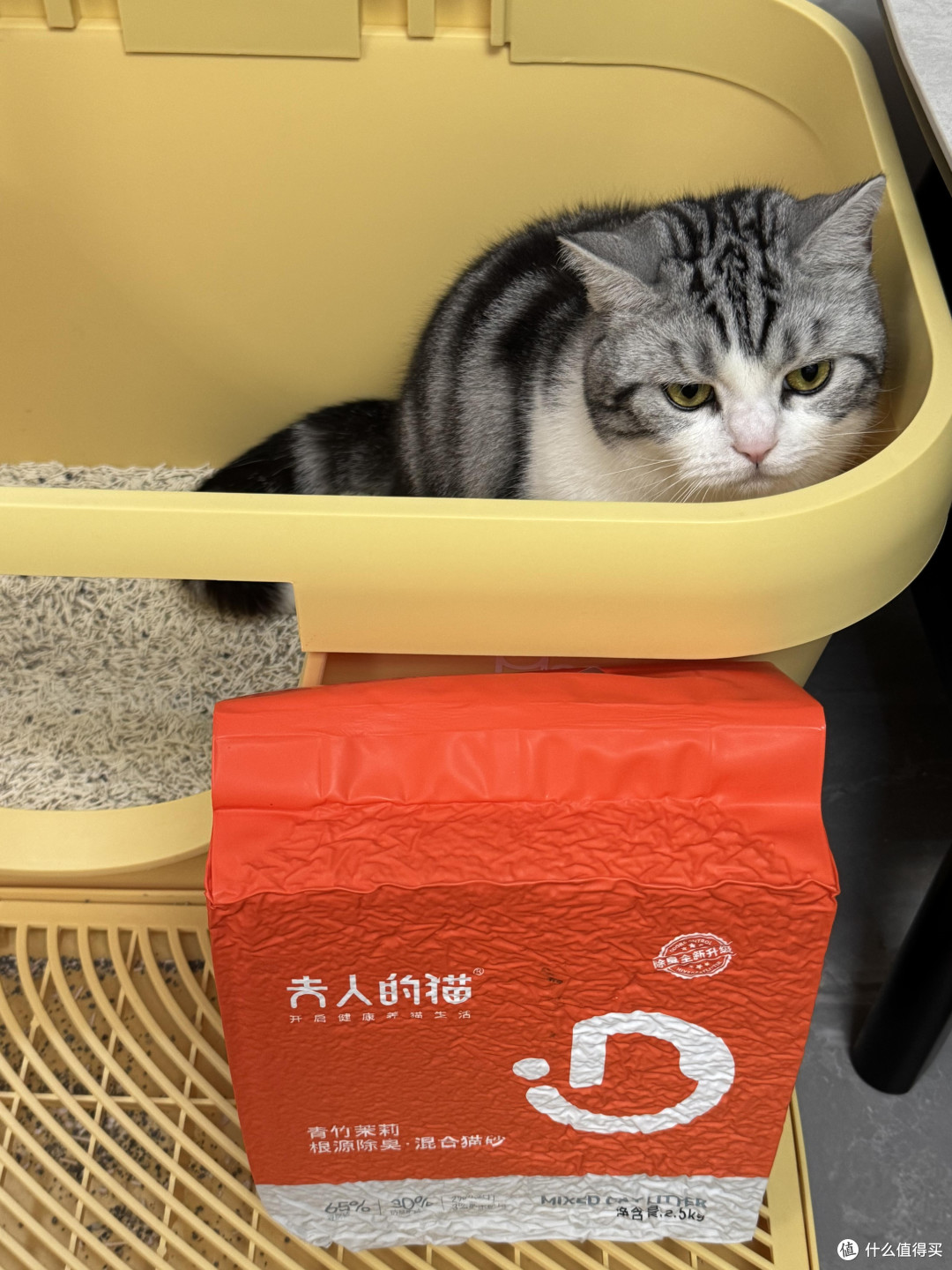 科学喂养守护猫咪健康