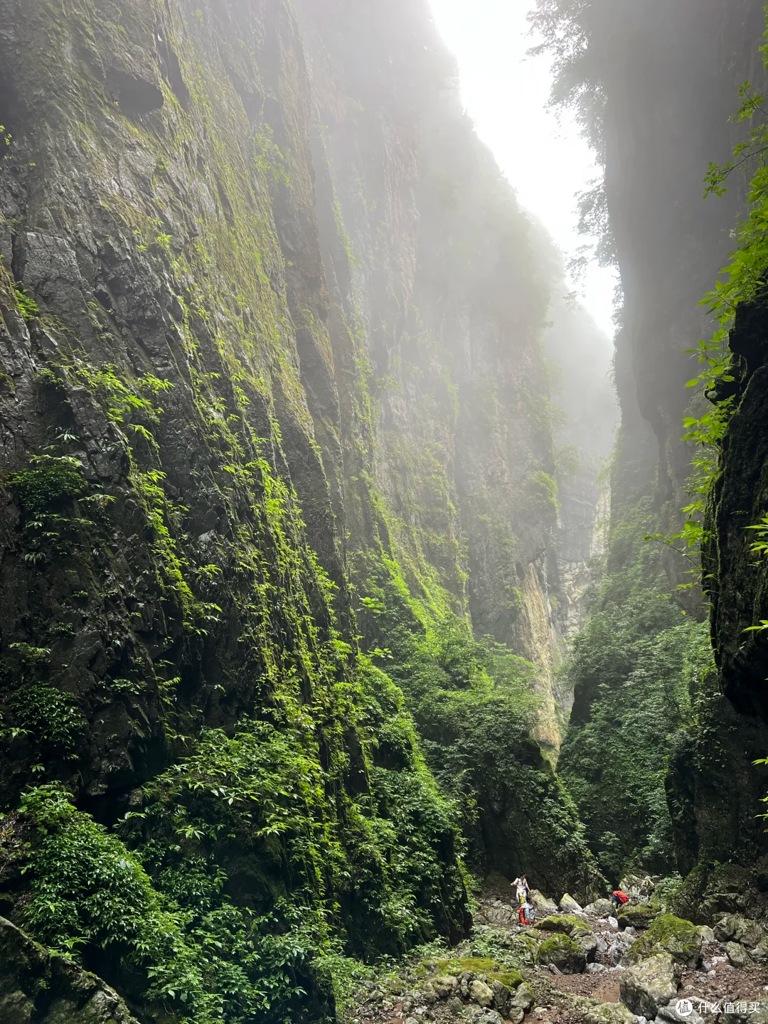 山野备忘录｜带 6 岁孩子跟一条网上轨迹进山，深夜困在灌木丛里