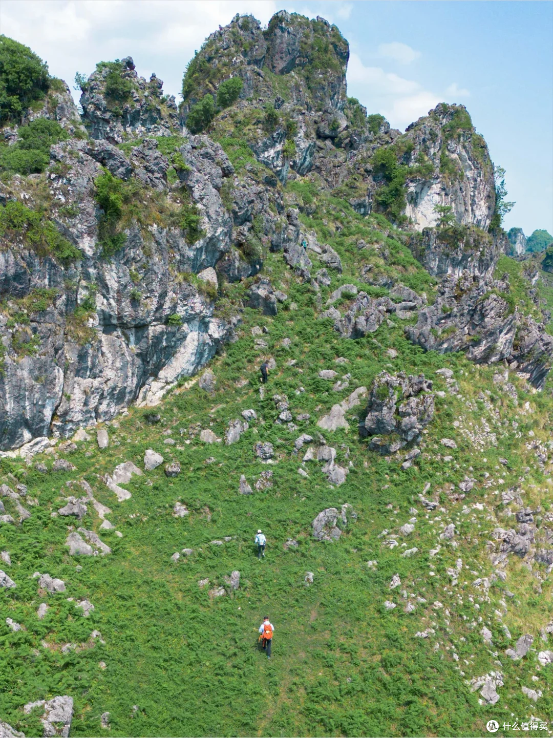 山野备忘录｜带 6 岁孩子跟一条网上轨迹进山，深夜困在灌木丛里