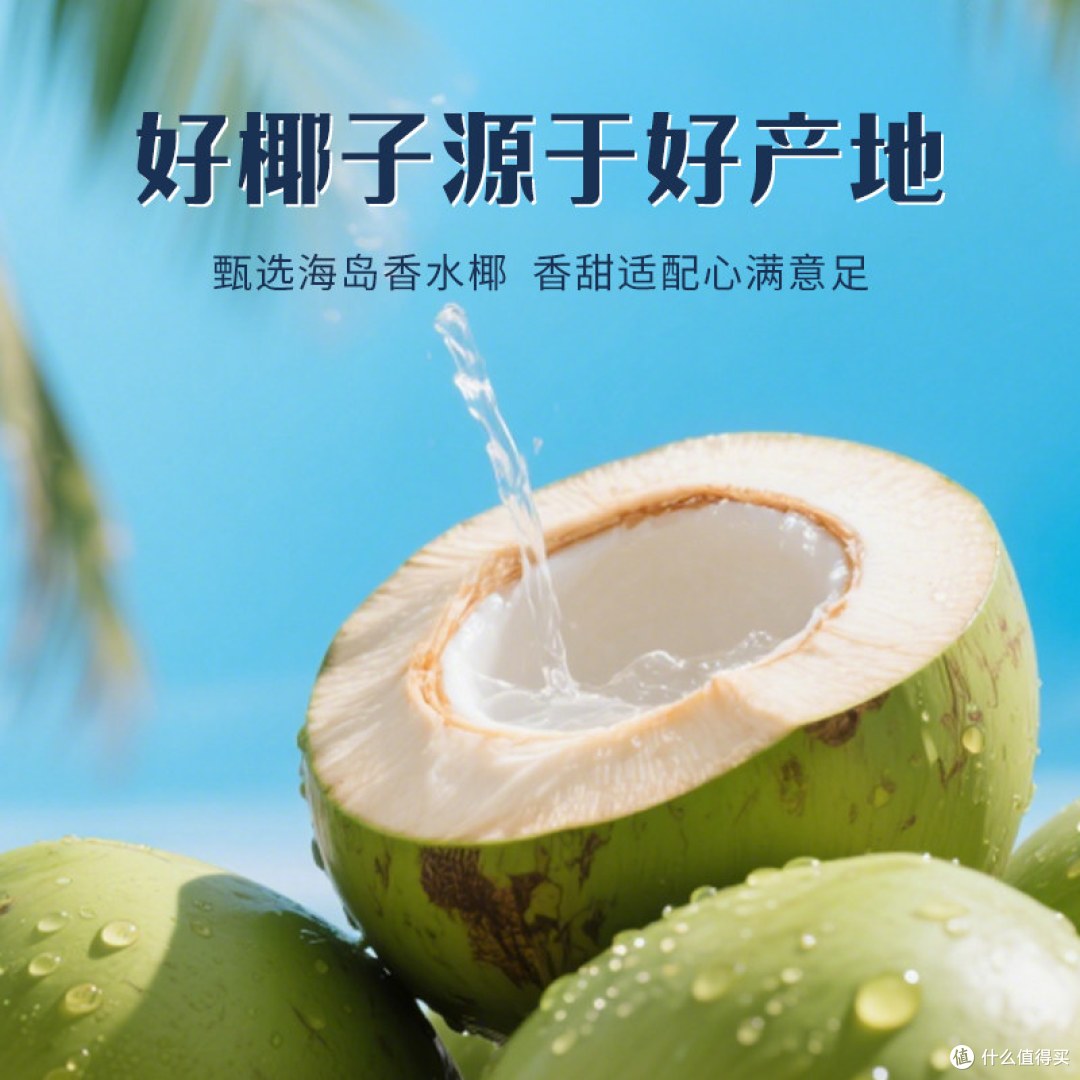 第 28 街椰子水 整箱饮用体验