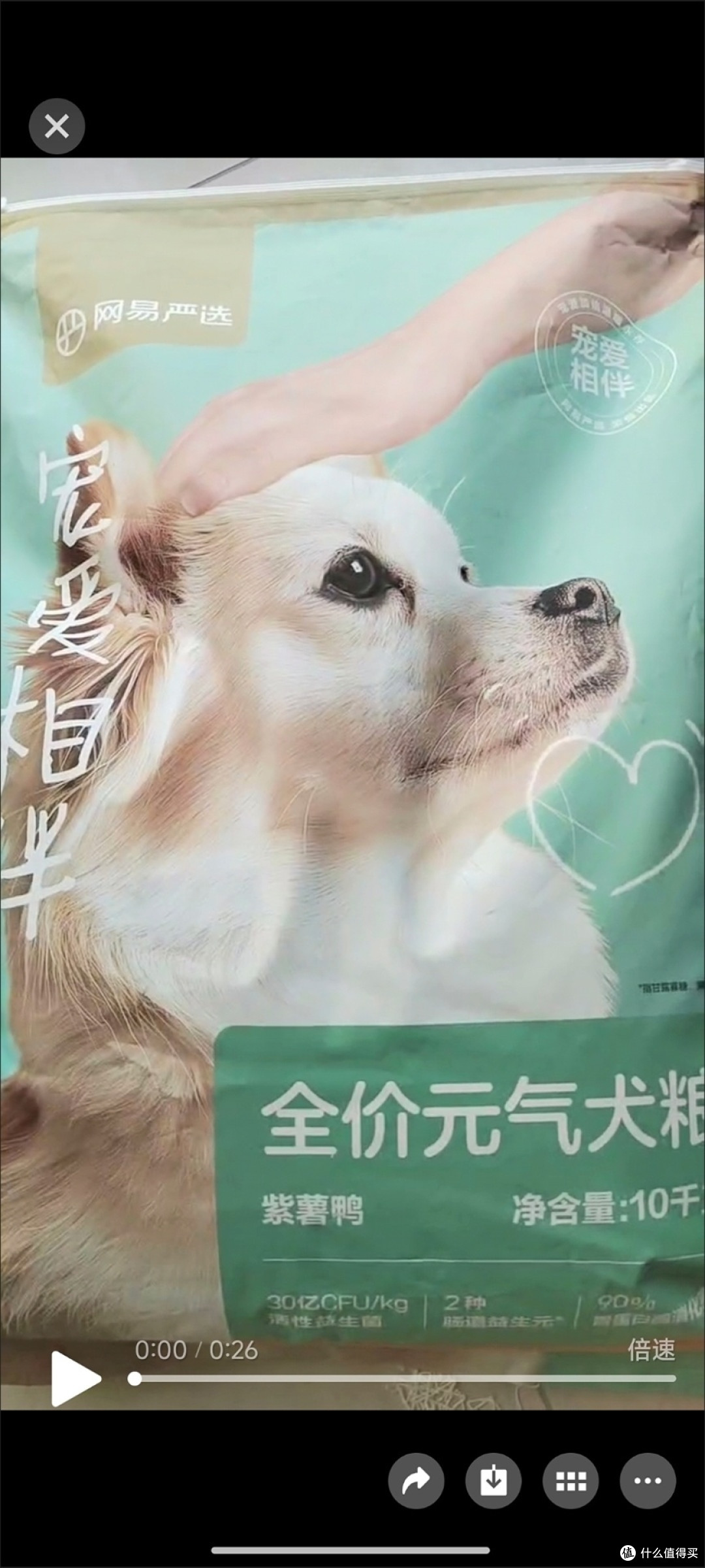 新手养狗不踩坑：科学挑选狗粮的实用指南