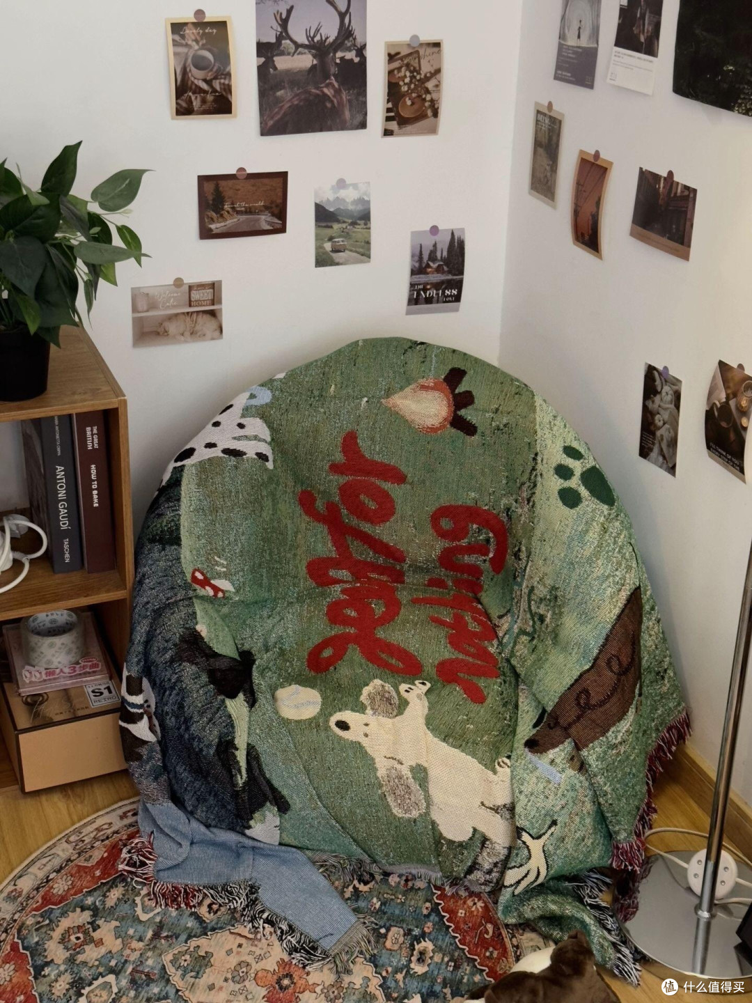 低成本出租屋改造指南