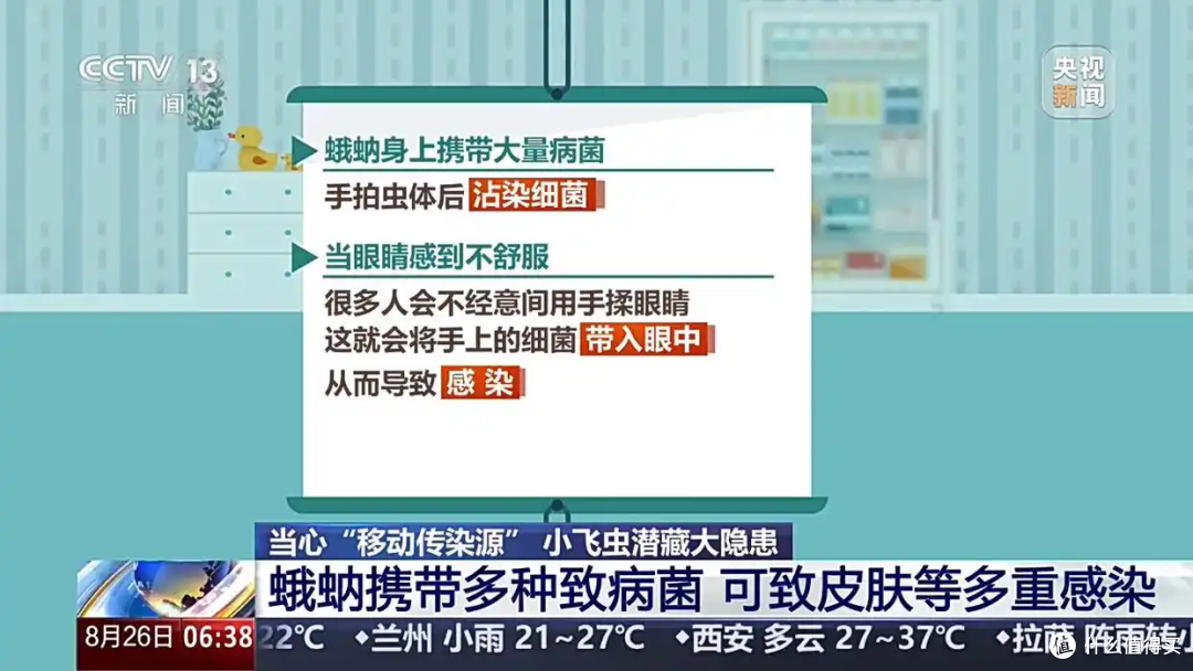 卫生间这种小黑虫是“移动病菌库”,真正该清的是这里!
