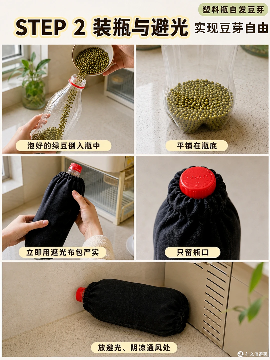 空油桶、塑料瓶别扔，在家种菜5天就能吃，绿色有机，根本吃不完