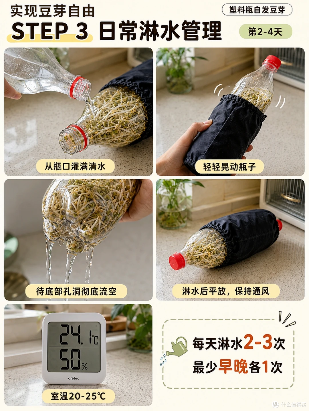 空油桶、塑料瓶别扔，在家种菜5天就能吃，绿色有机，根本吃不完