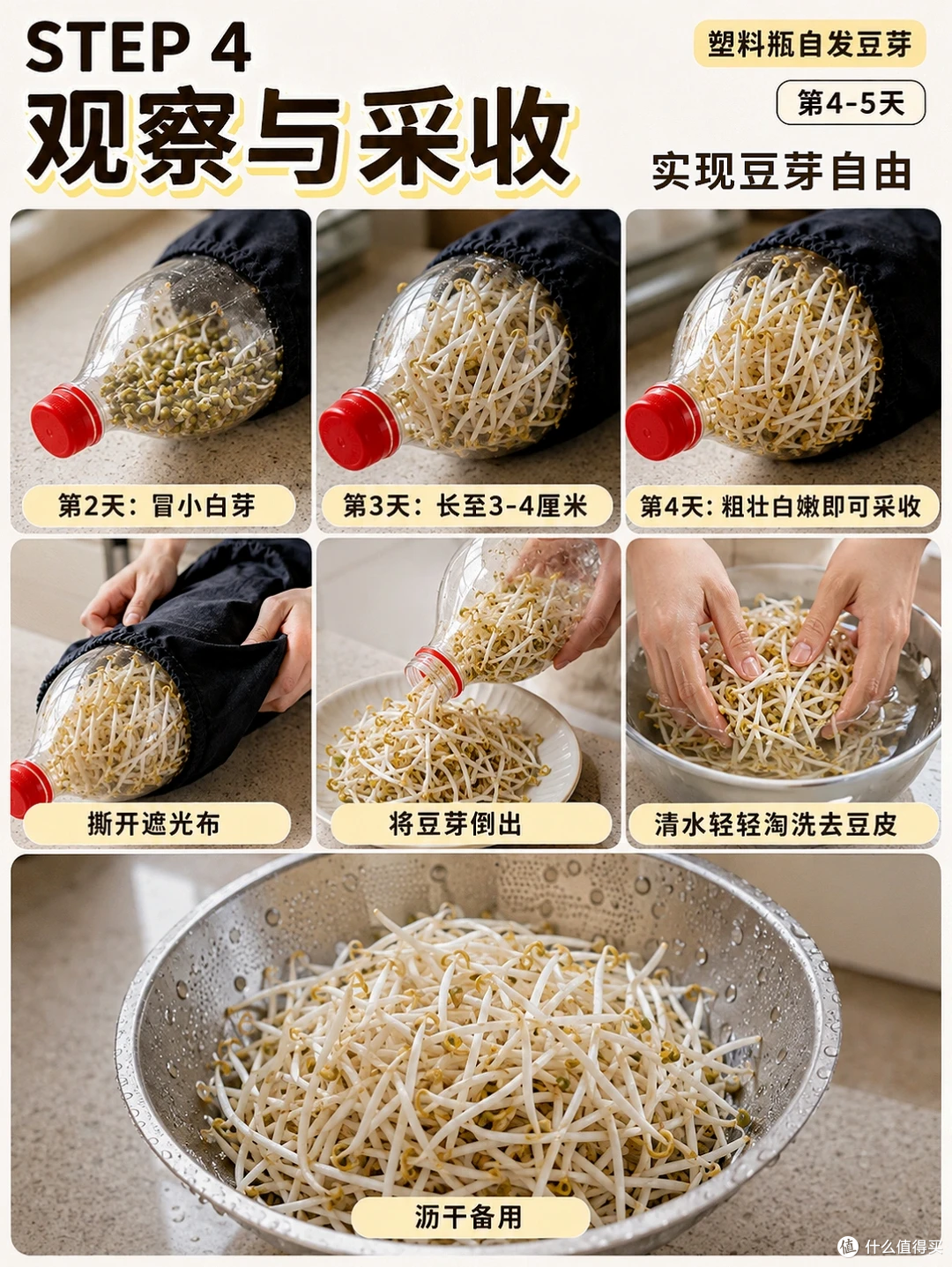 空油桶、塑料瓶别扔，在家种菜5天就能吃，绿色有机，根本吃不完