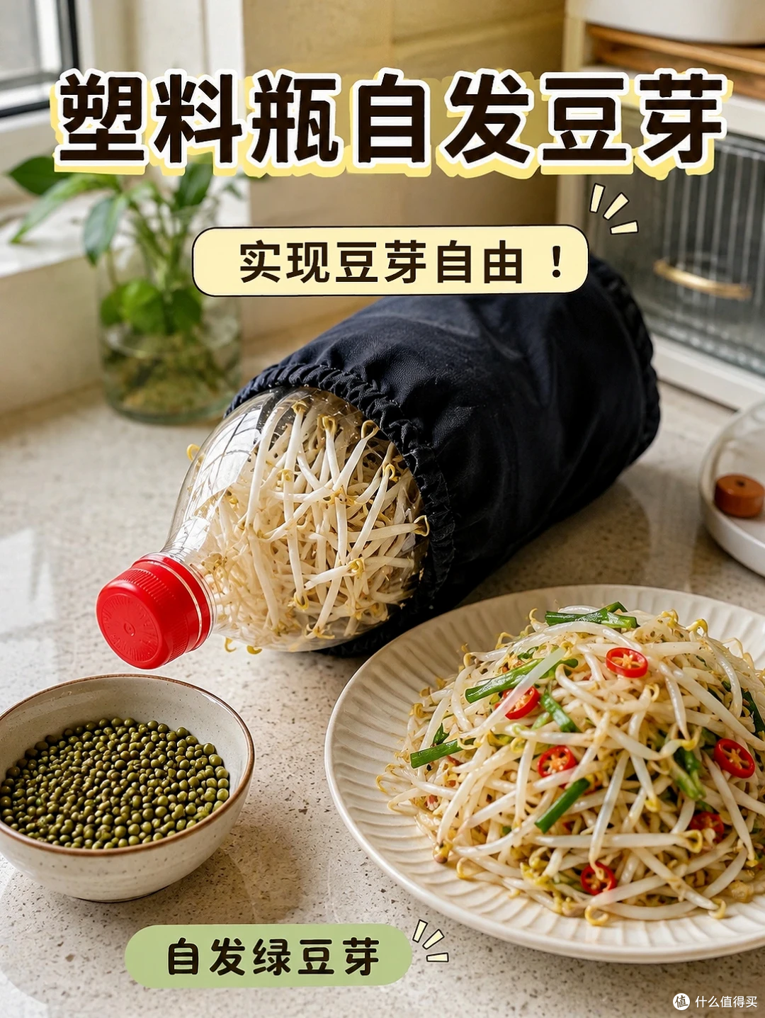空油桶、塑料瓶别扔，在家种菜5天就能吃，绿色有机，根本吃不完