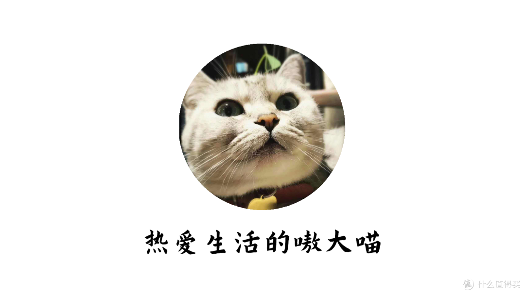 一个人生活,为什么我反而更需要 NAS?——绿联 DH4300 Plus