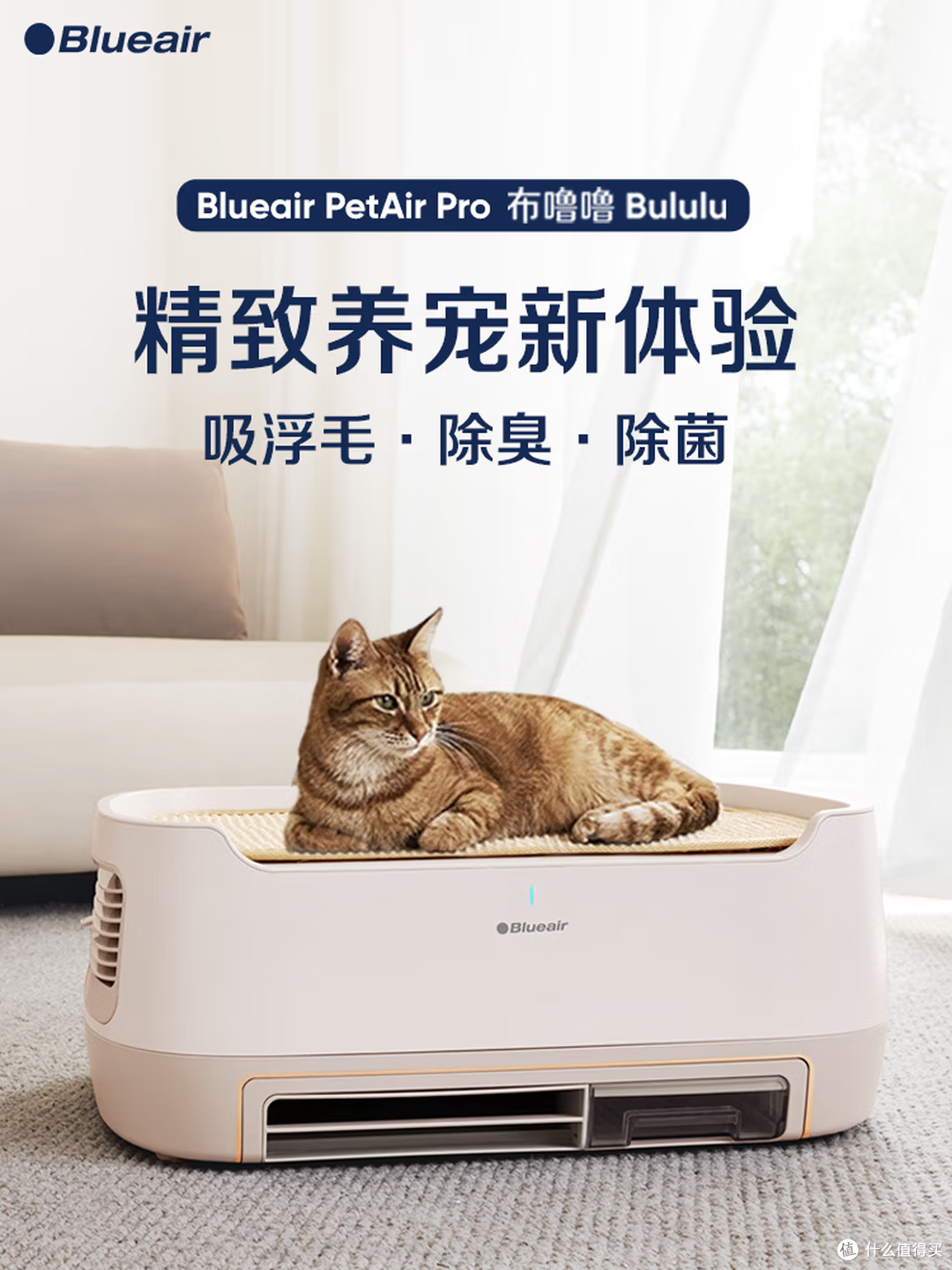 铲屎官专属｜布鲁雅尔 PetAir Pro（布噜噜）宠物空气净化器实测
