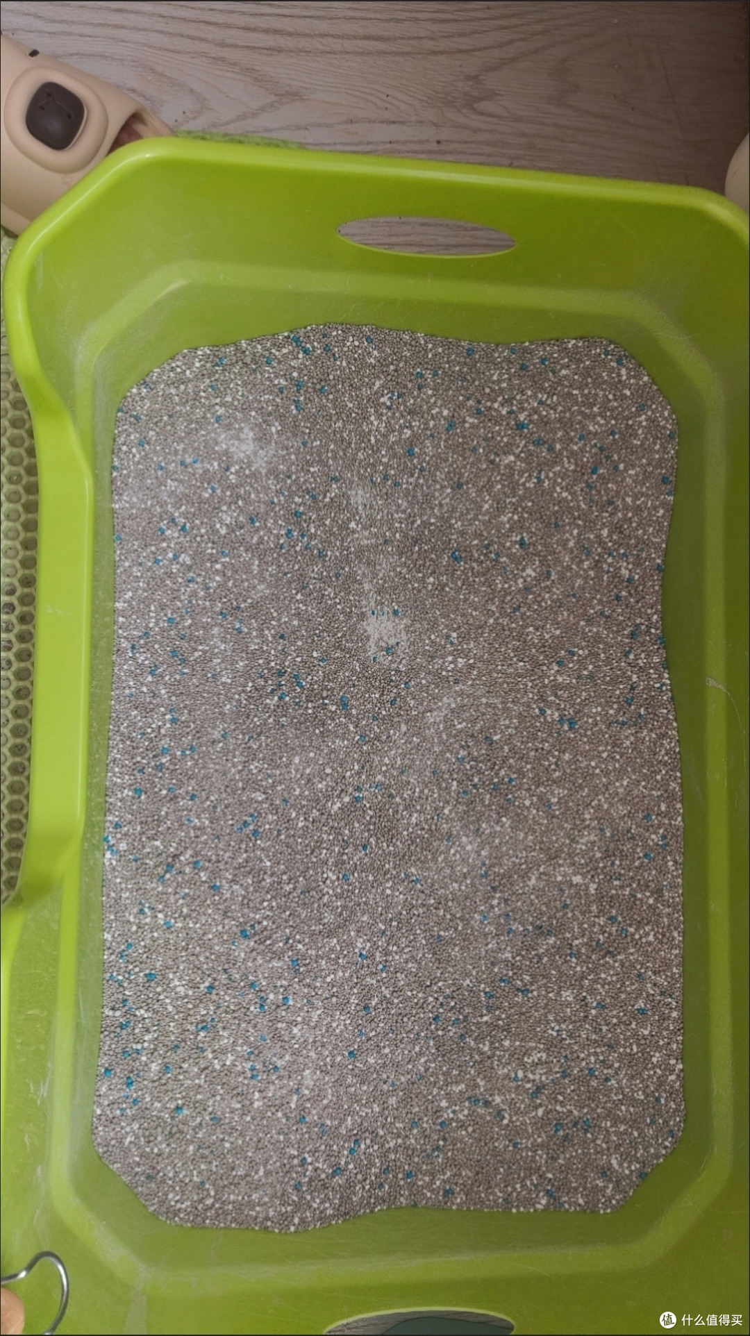 猫砂选购指南:健康与生活质量