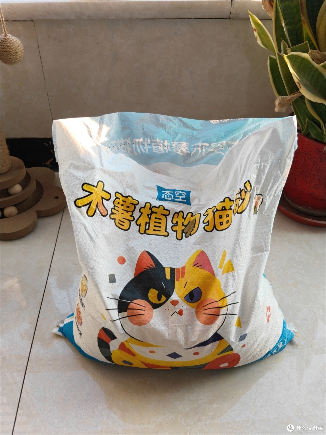 猫砂选购指南:健康与生活质量