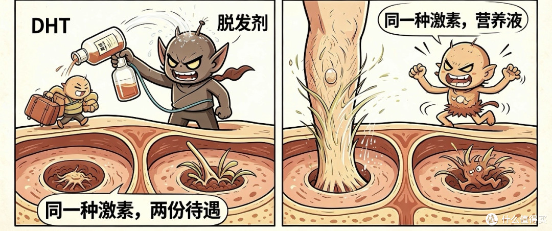【头发篇】腿毛能扎小辫，头发却快掉光了。凭什么？