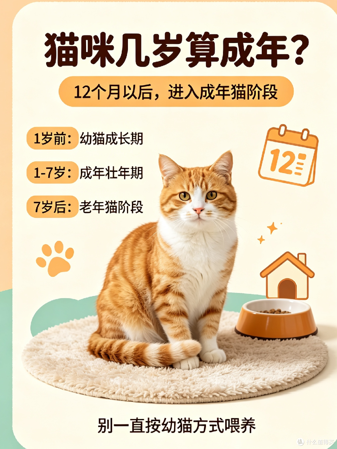 猫咪几岁算成年？7岁已经步入老年，别再按幼猫方式喂养