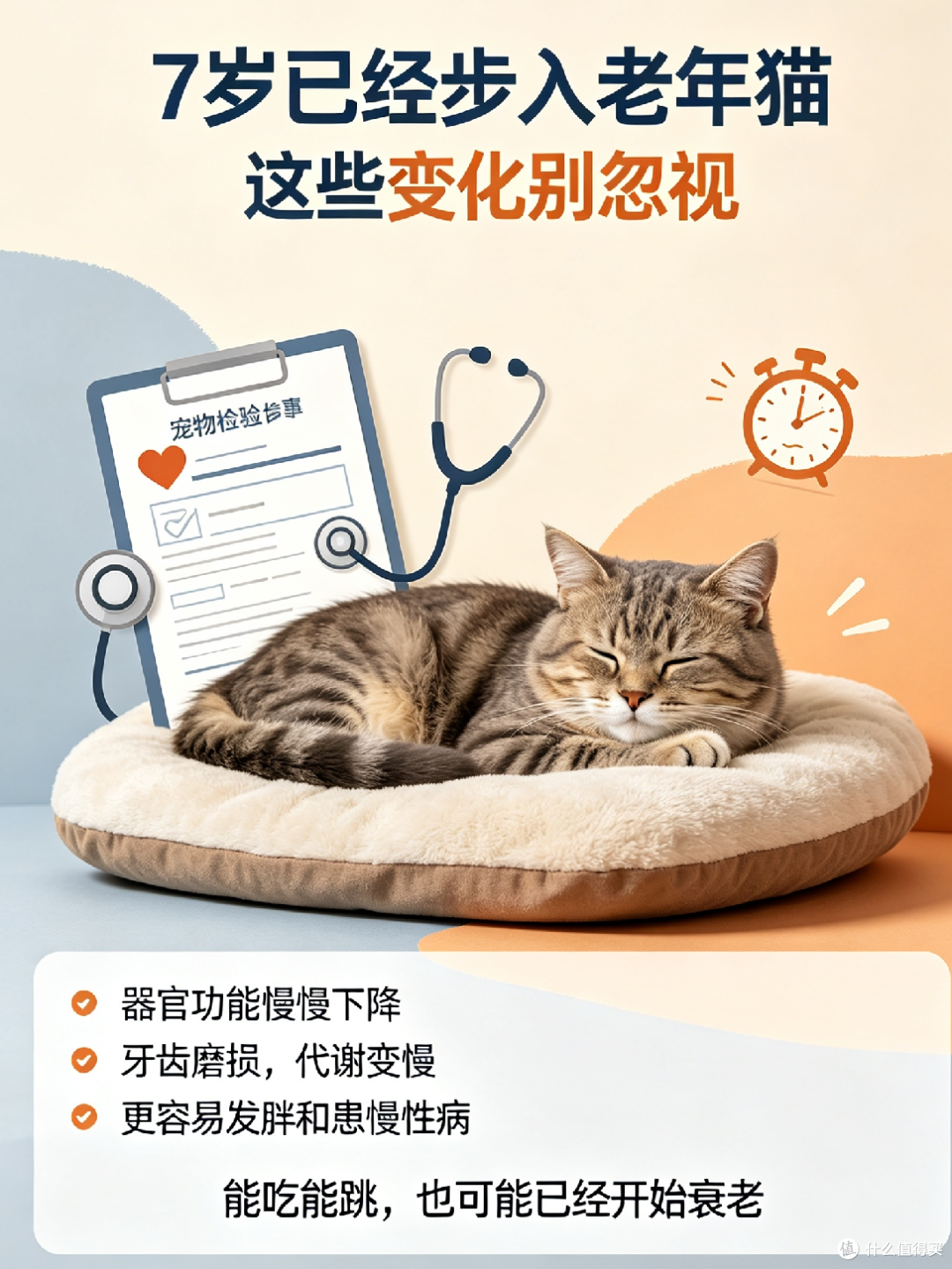 猫咪几岁算成年?7岁已经步入老年,别再按幼猫方式喂养