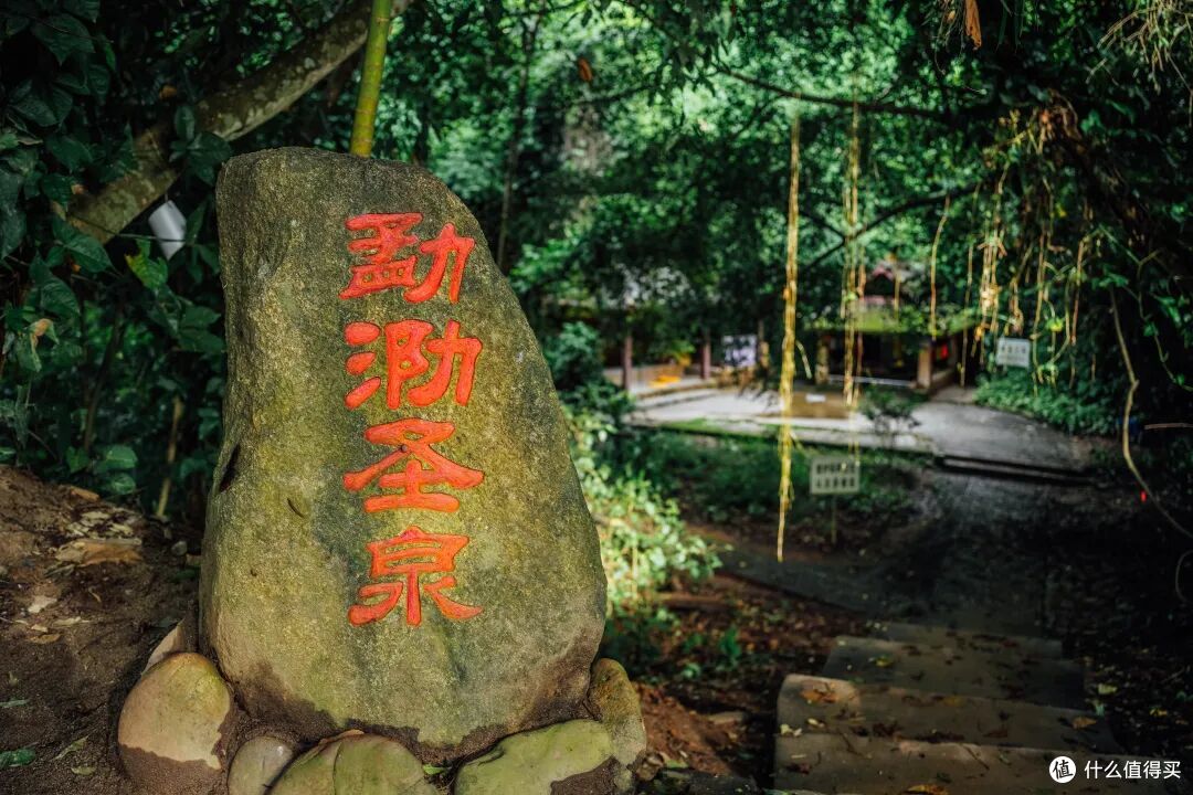 去了三次才玩明白,不出国也能体验「清迈兴趣班」的最佳目的地