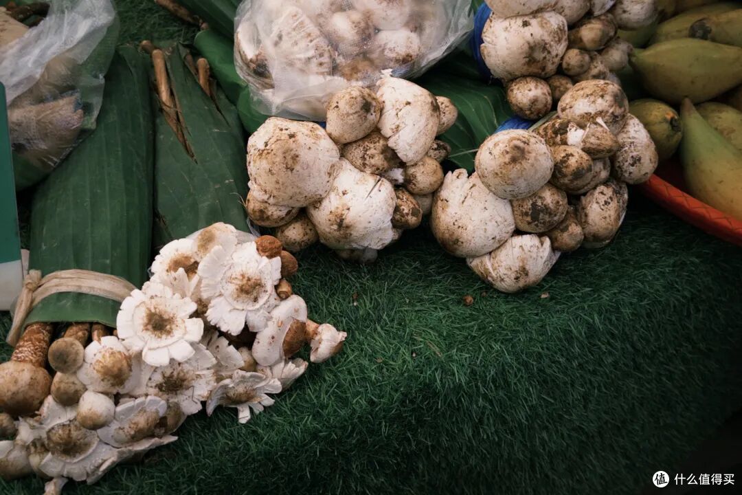 去了三次才玩明白,不出国也能体验「清迈兴趣班」的最佳目的地