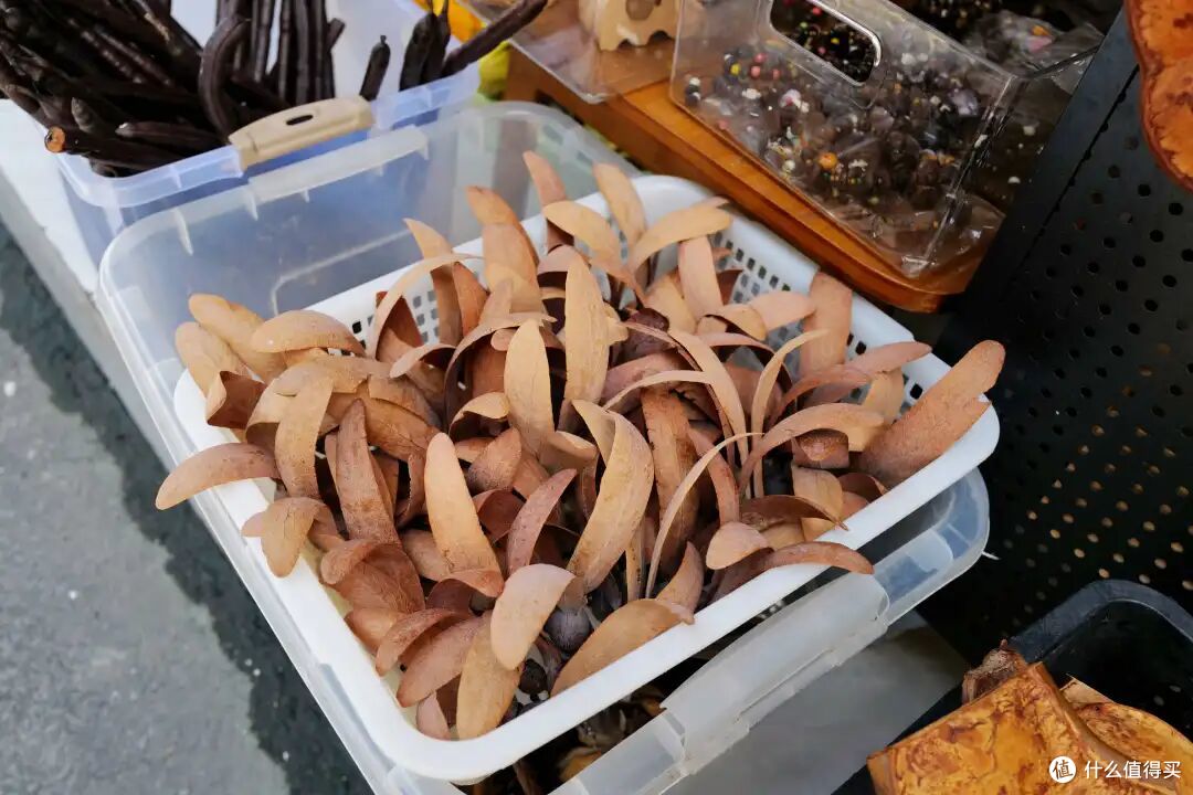 去了三次才玩明白,不出国也能体验「清迈兴趣班」的最佳目的地