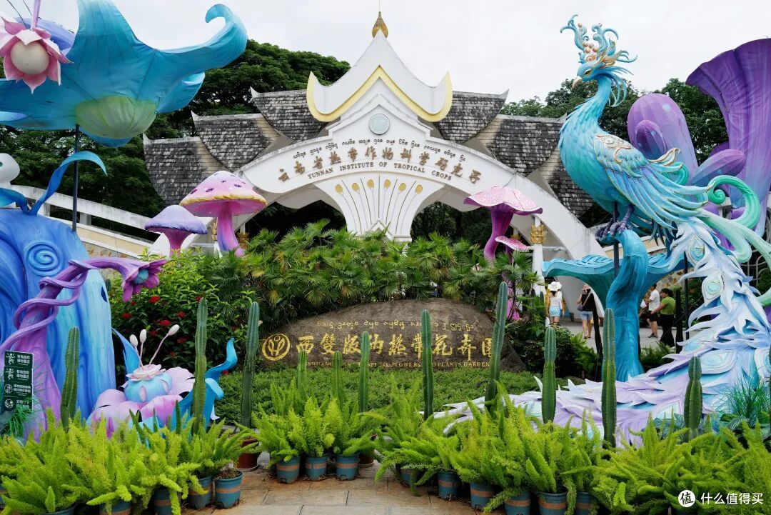 去了三次才玩明白,不出国也能体验「清迈兴趣班」的最佳目的地