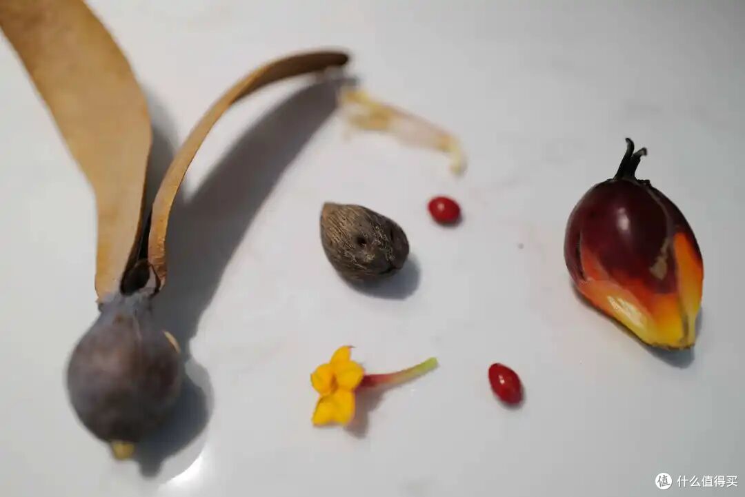 去了三次才玩明白,不出国也能体验「清迈兴趣班」的最佳目的地