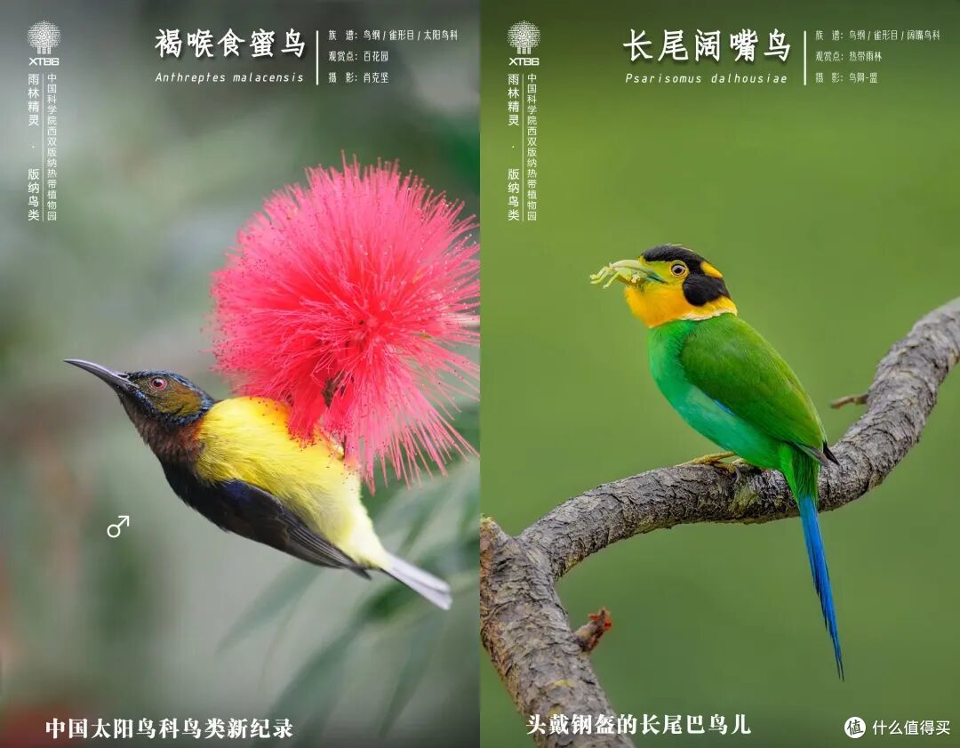 去了三次才玩明白,不出国也能体验「清迈兴趣班」的最佳目的地