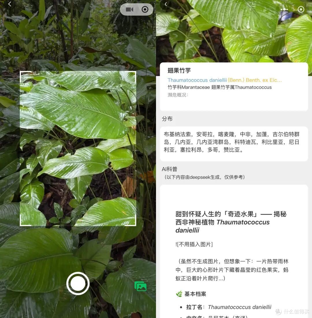 去了三次才玩明白,不出国也能体验「清迈兴趣班」的最佳目的地
