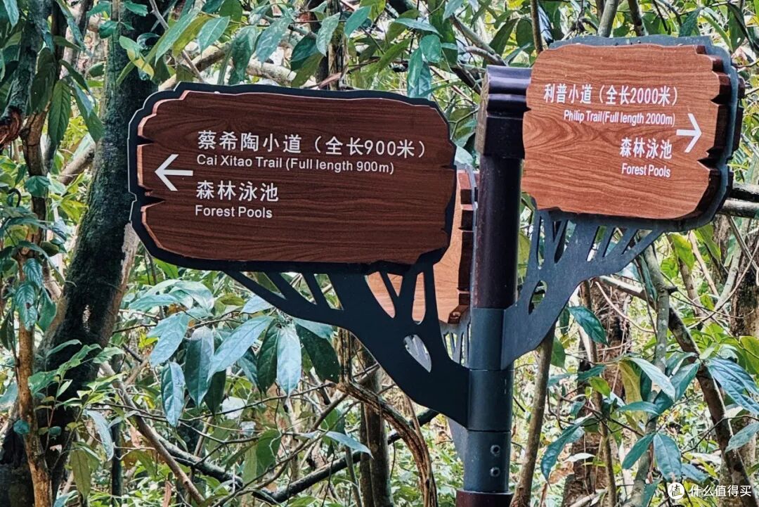 去了三次才玩明白,不出国也能体验「清迈兴趣班」的最佳目的地